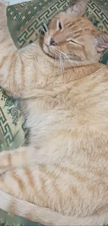 Orange tabby cat resting on green patterned blanket.