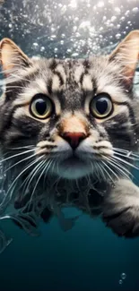 Cat swimming underwater with curious expression, vibrant and playful.