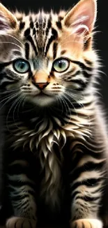 Cat Felidae Carnivore Live Wallpaper