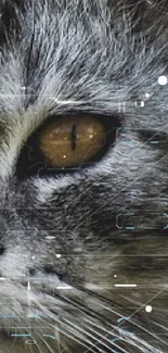 Cat Felidae Carnivore Live Wallpaper