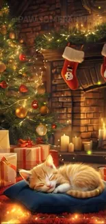 Cat Felidae Christmas Decoration Live Wallpaper