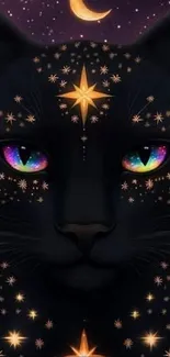 Cat Felidae Felinae Live Wallpaper