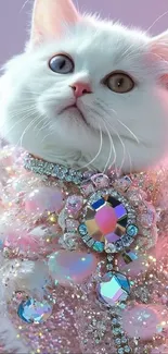 Fluffy white cat in a sparkling, jeweled outfit.