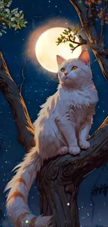 Cat Felidae Felinae Live Wallpaper