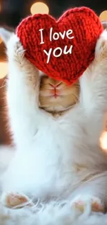 Cat Felidae Red Live Wallpaper