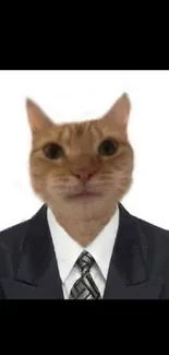 Funny cat in a formal suit wallpaper for mobile.