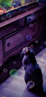 Cat watches fish tank with bubbles in a serene scene.