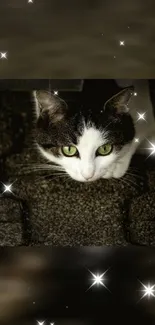 Cat with green eyes and stars in a night scene wallpaper.