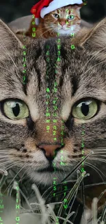 Cat Green Felidae Live Wallpaper