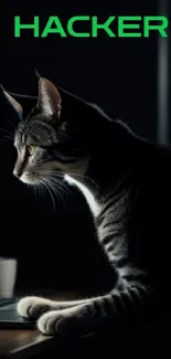 Cat sits at computer in dark hacker-themed wallpaper.