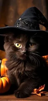 Whimsical black cat in a witch hat with pumpkins.