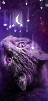 Cat gazing at the crescent moon in cosmic purple galaxy wallpaper.