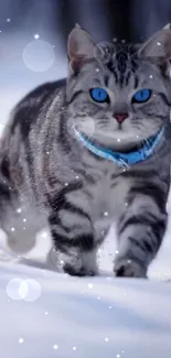 Gray cat with blue eyes walks through snowy scenery.