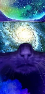 Cat wearing galaxy sunglasses with a purple cosmic background.