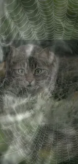 A cat camouflaged within a spider web in a forest setting.