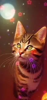 Cat gazing in a dreamy, stardust-filled sky wallpaper with celestial elements.