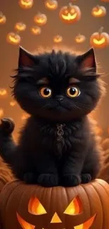 Cat Light Black Live Wallpaper