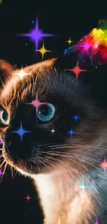 Cat Light Felidae Live Wallpaper