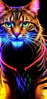 Cat Light Felidae Live Wallpaper