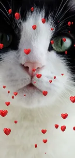 Cute cat with red hearts mobile wallpaper.