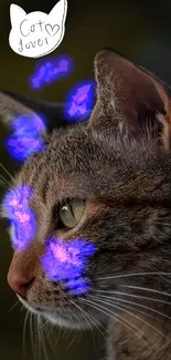 A cat's face highlighted with glowing blue spots on a vivid wallpaper.