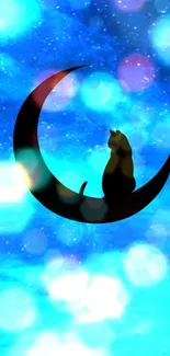 Cat sitting on a crescent moon with a blue bokeh background.