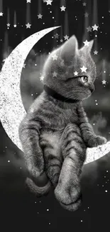 Adorable cat sitting on a crescent moon against a starry black background.