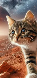 A tabby cat explores a Martian landscape with a cosmic background.