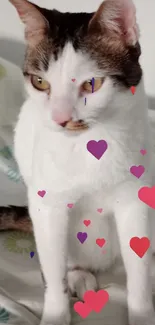 White cat sitting on a patterned bedspread in a serene setting.