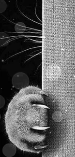 Grey cat paw peeks from behind textured surface.