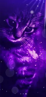 Cat Purple Felidae Live Wallpaper