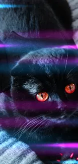 Cat Purple Felidae Live Wallpaper