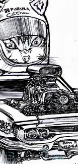 A whimsical drawing of a cat in a racing helmet inside a muscle car.