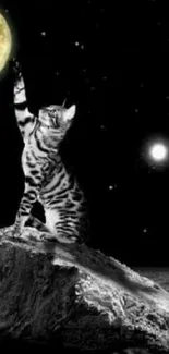 Cat reaching for a glowing moon on a starry night backdrop.