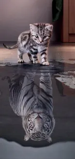 Kitten looks at its tiger reflection on water.