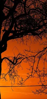 Cat silhouette on a wire with vibrant orange sunset background.