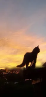 Silhouette of a cat against a vibrant sunset sky.