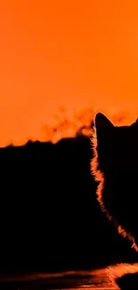 Silhouette of a cat against a vibrant orange sunset sky.