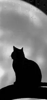 Silhouette of a cat with a full moon background on a mobile wallpaper.