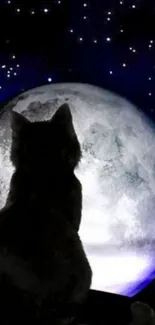 Cat silhouette sitting against a full moon with a star-filled night sky.