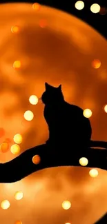 Cat silhouette on a branch with moon and bokeh lights.