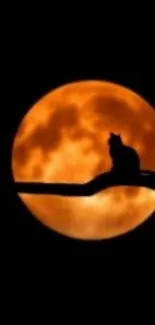 Cat silhouette on branch with orange full moon background.