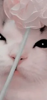 Cat Skin Cheek Live Wallpaper