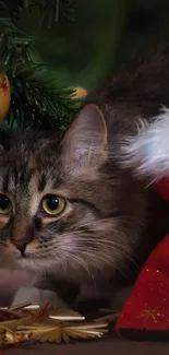 Cat peeking from under a Christmas tree with a Santa bag nearby.