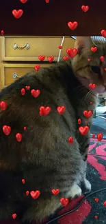 Cat sitting under a wooden desk on a red and black rug.