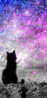 Silhouette of a cat under a purple galaxy sky with stars.