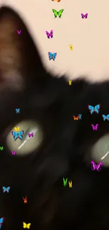 Black cat with colorful butterflies in whimsical wallpaper.