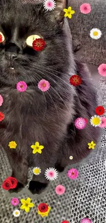 Black cat with colorful flowers background.