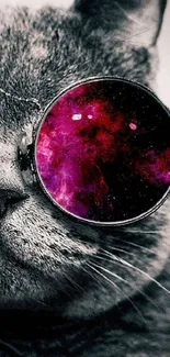 Cat with cosmic sunglasses reflecting vibrant galaxy art.