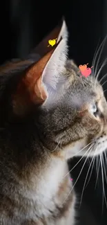 Profile of a cat with colorful hearts, perfect as a mobile wallpaper.